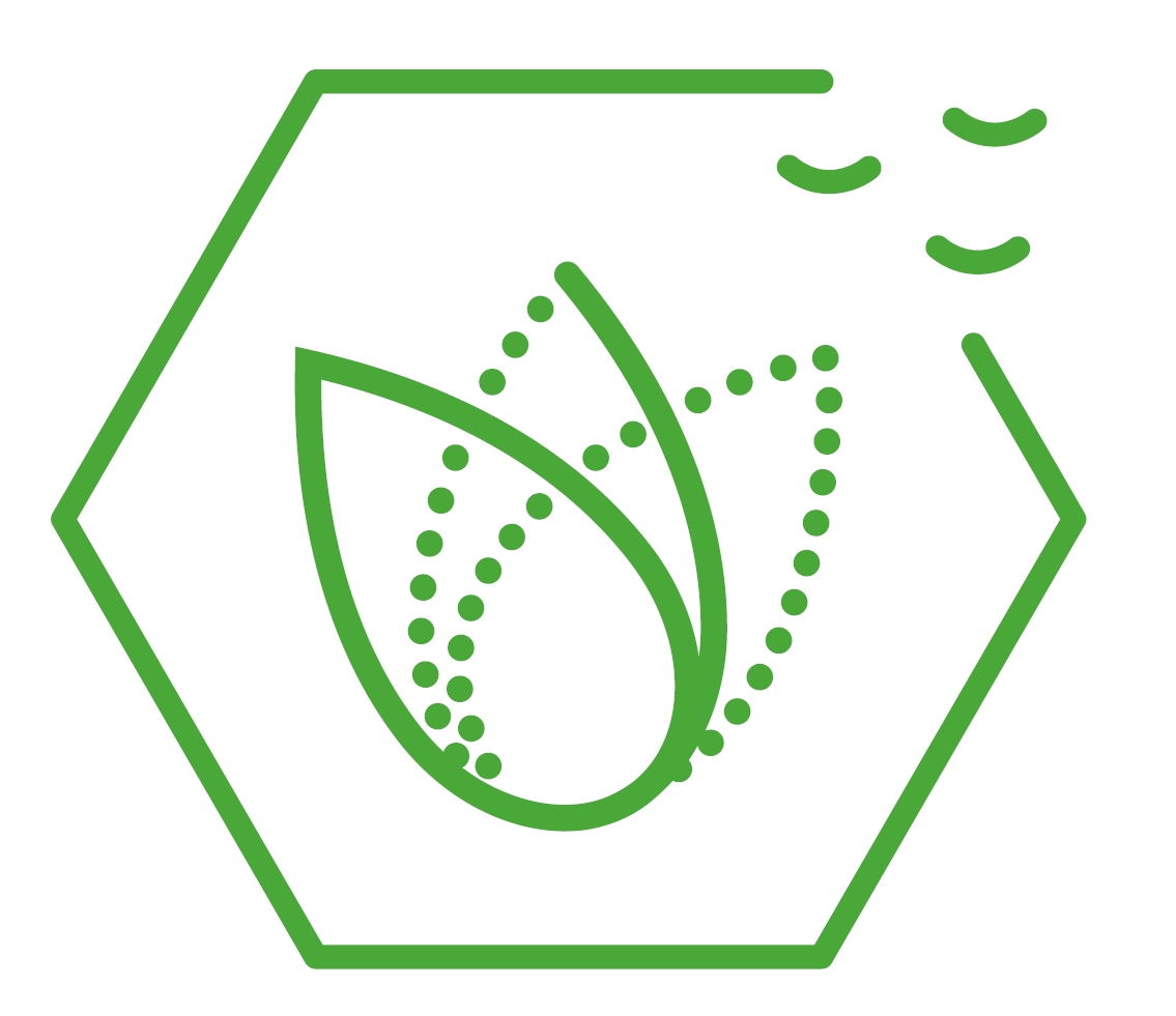 Logo SUSPHIRE Logo SUSPHIRE